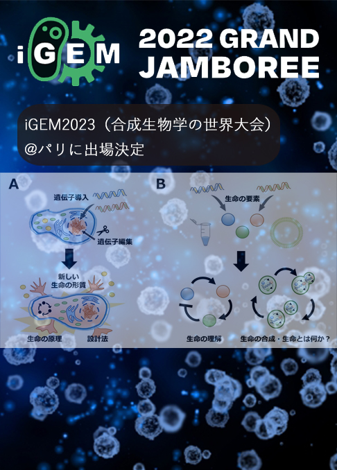 iGEM2023（合成生物学の世界大会）に出場-近大豊岡STEAM教育